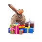 Ostern Geschenkverpackung Ostern Geschenkverpackung