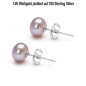 Classique Süßwasserperlen Ohrstecker 7.5-8mm, Flieder/Purple Farbe Classique Süßwasserperlen Ohrstecker 7.5-8mm, Flieder/Purple Farbe
